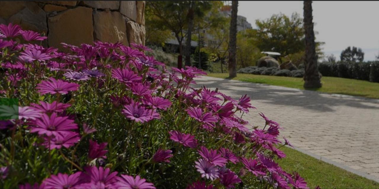 Parque Botanico Resort&country Club *