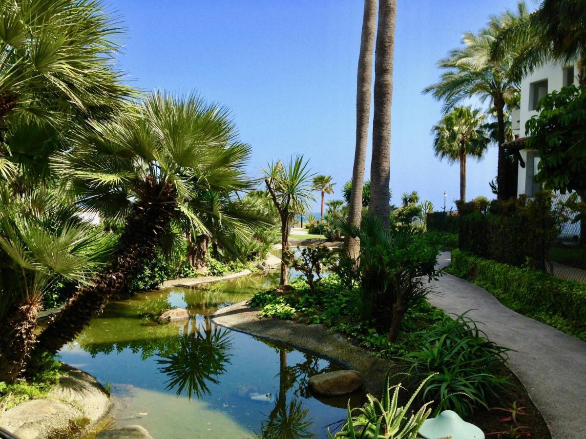 Apartment Exceptional Beachfront Complex With Pool In Costalita, *
