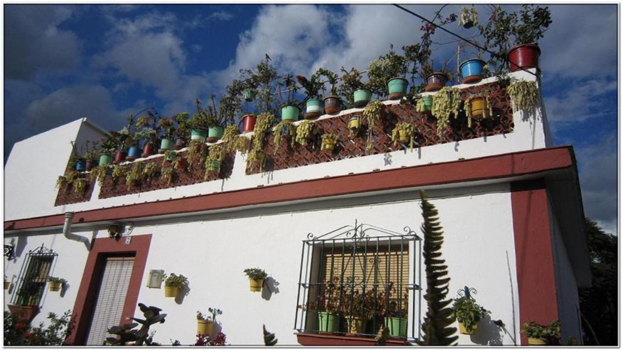 Luxus Am Meer * Estepona
