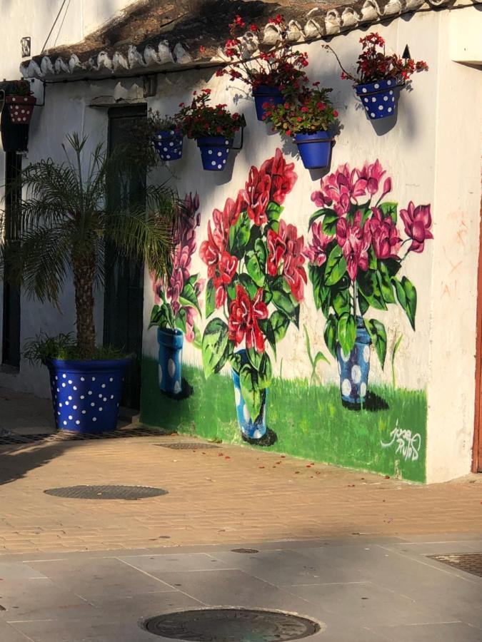 Alojamiento En Apartamento Estepona