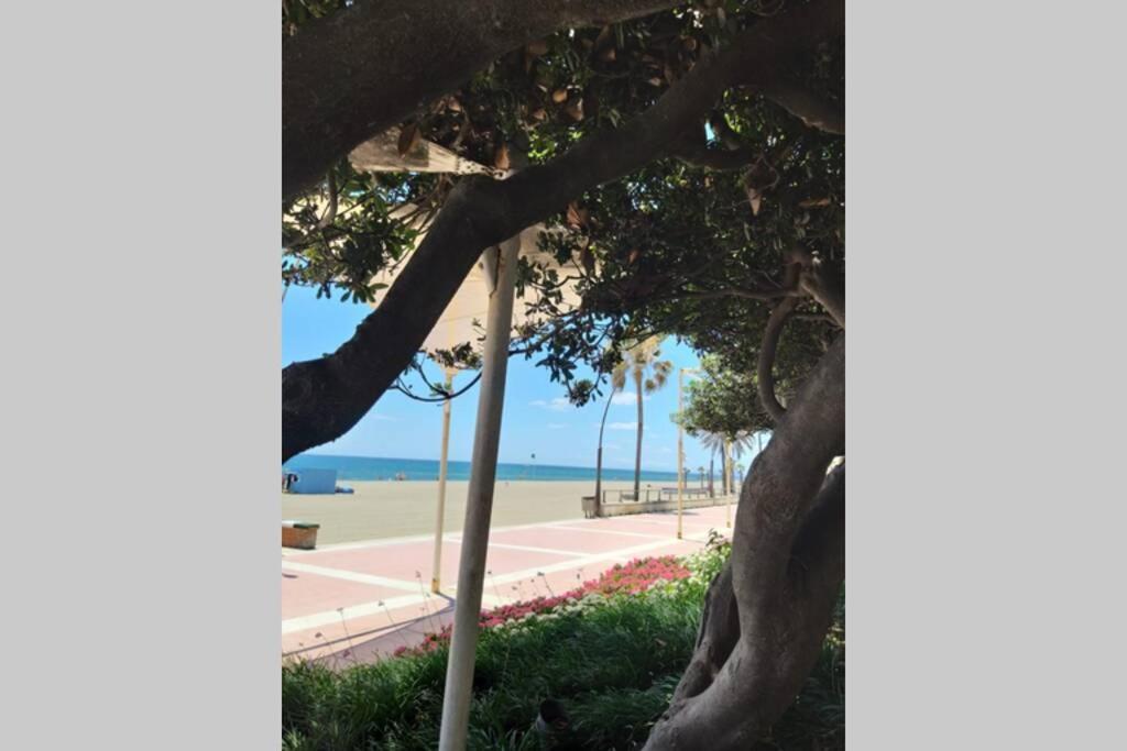 Apartment New Fantastic Location 2 Bed, 2 Bath 150m From The Beach, Central