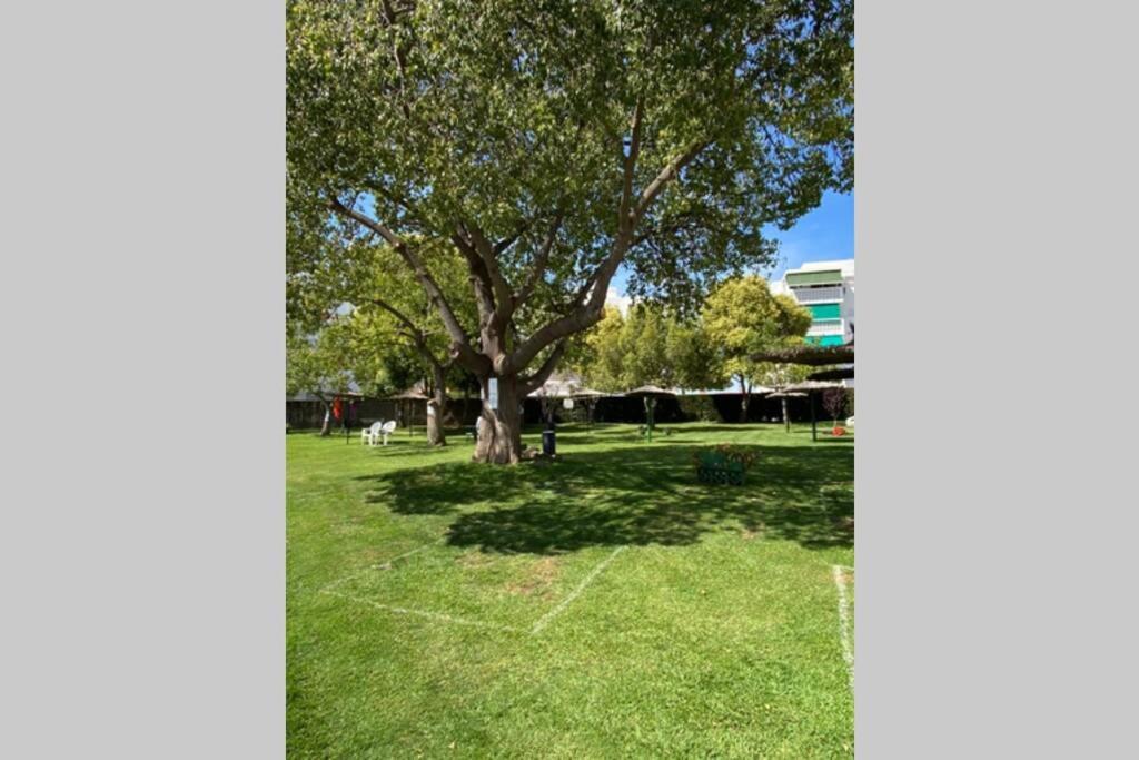 Appartement Apartamento En Urbanizacion Parque Antena, Estepona, Totalmente Renovado Estepona