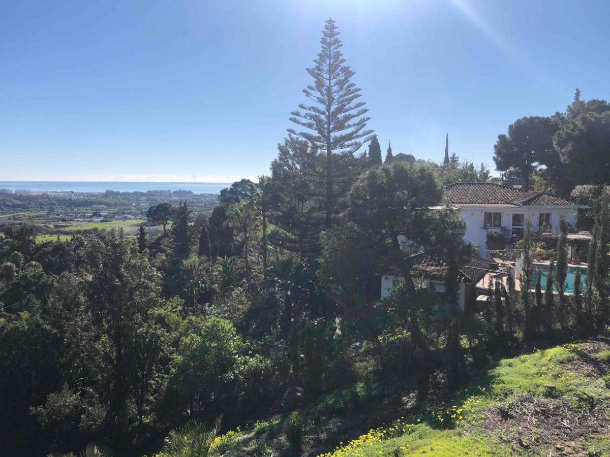 Guest house Casa Simba (adults Only) *