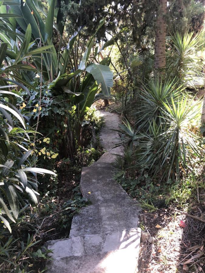 Casa Simba (adults Only) Estepona