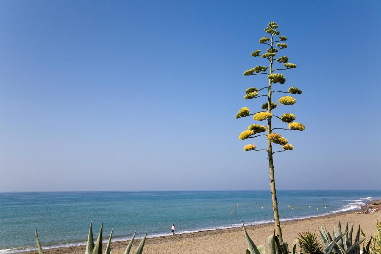 321 Heaven Guadalmansa Playa *