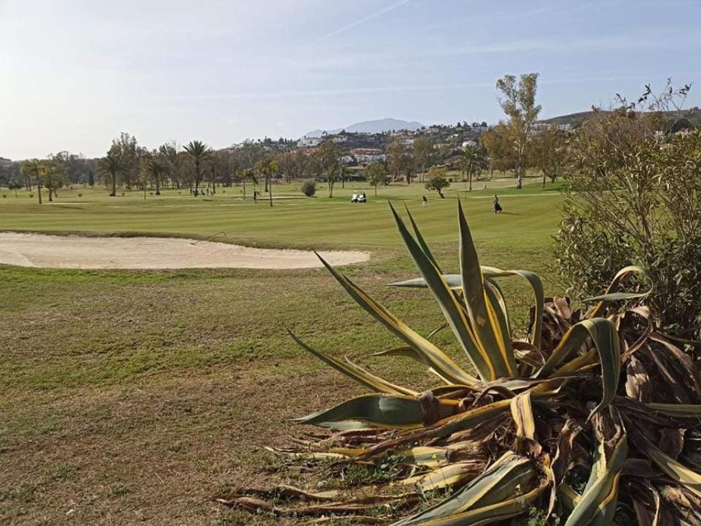 Le Joyau Andalou * Estepona
