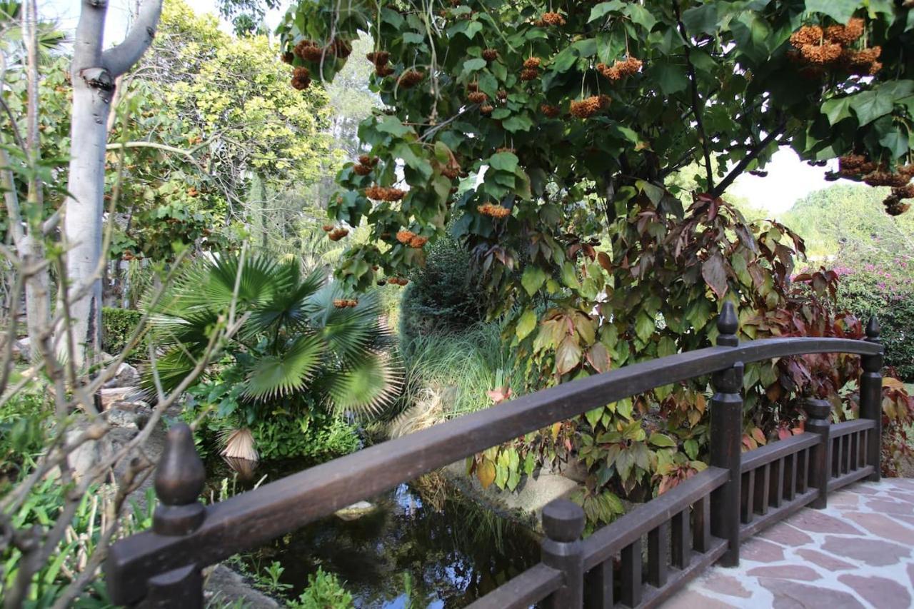 Beautiful, Bright And Spacious Duplex In Marbella Apartment