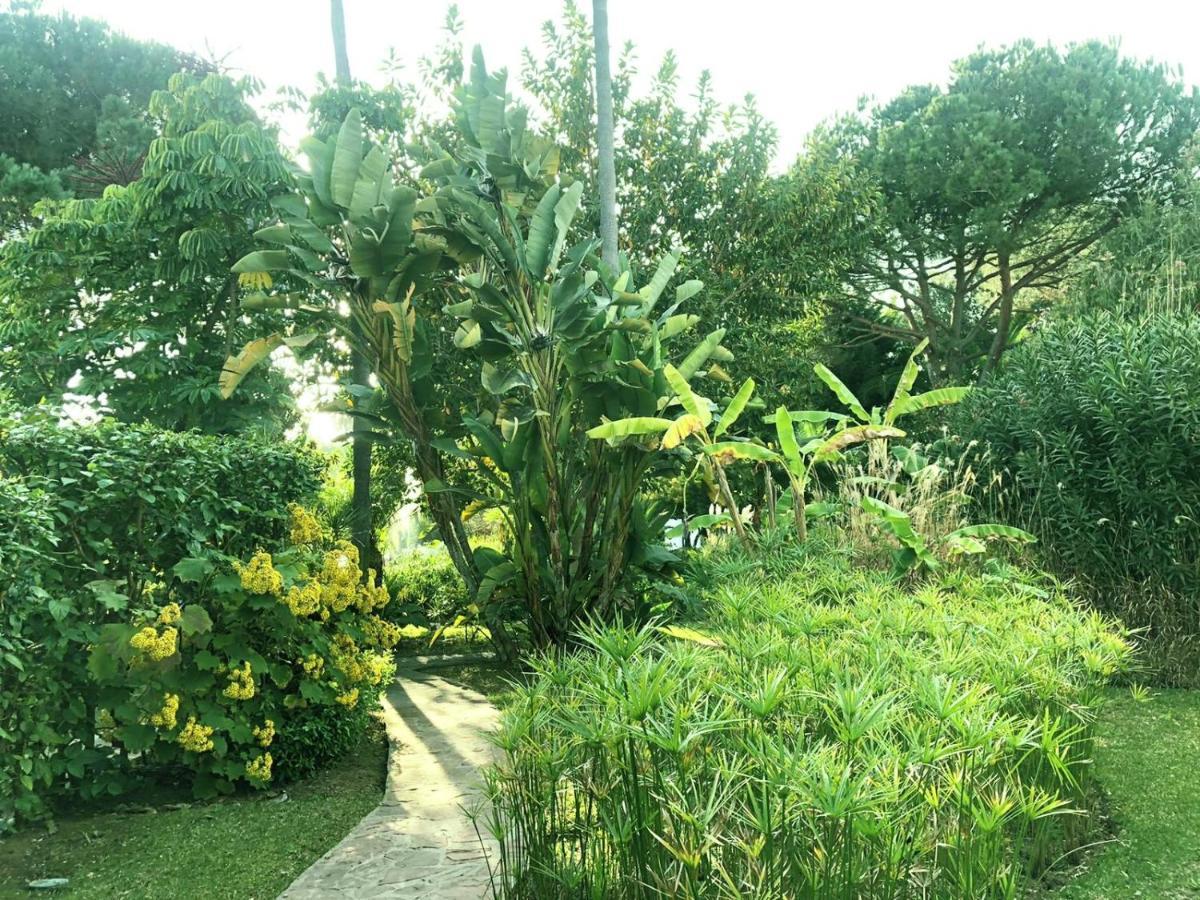 Apartment Beautiful, Bright And Spacious Duplex In Marbella