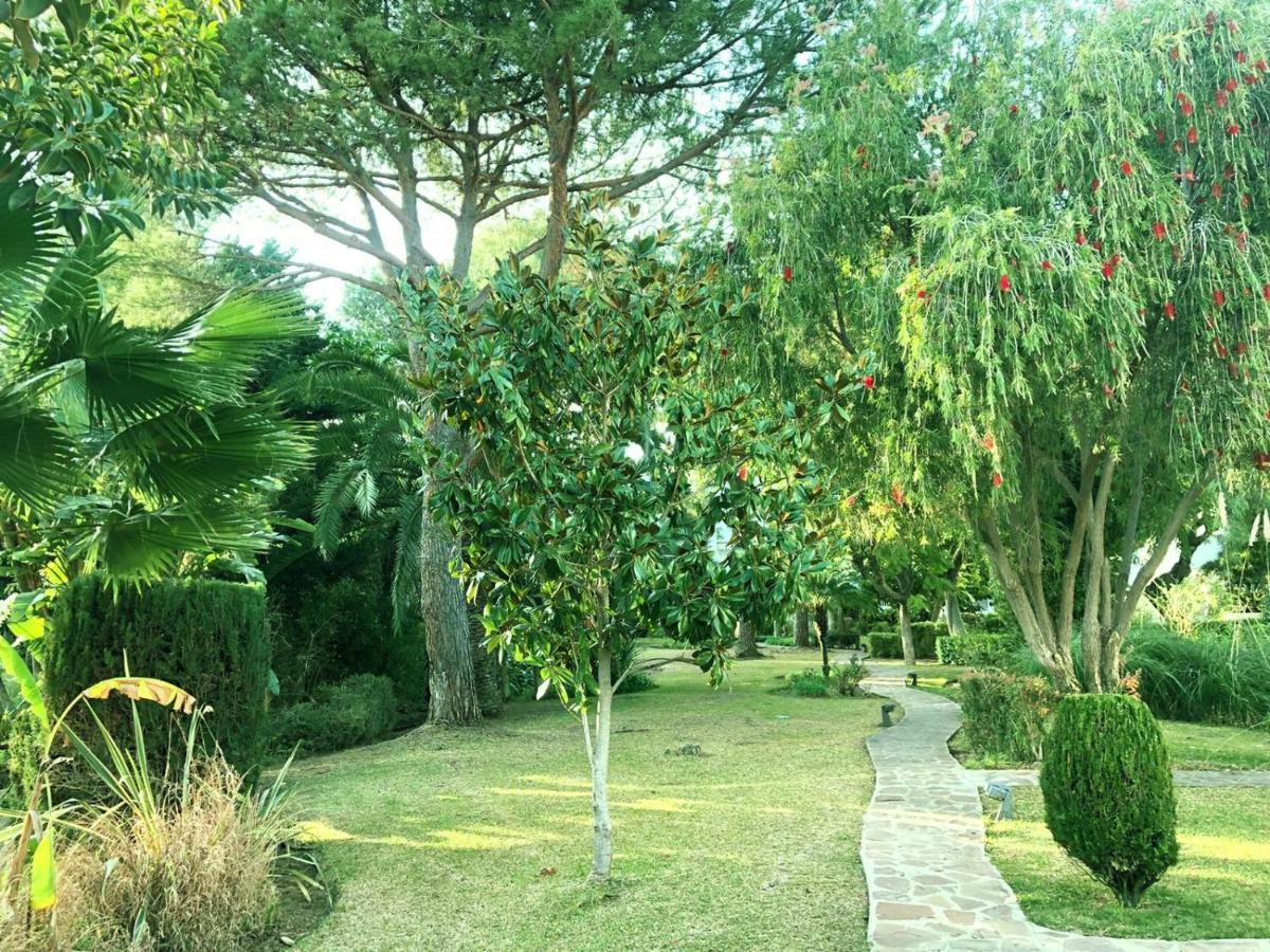 Beautiful, Bright And Spacious Duplex In Marbella Apartment *