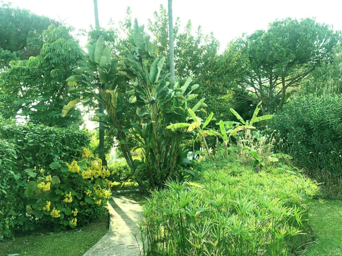 Apartment Beautiful, Bright And Spacious Duplex In Marbella