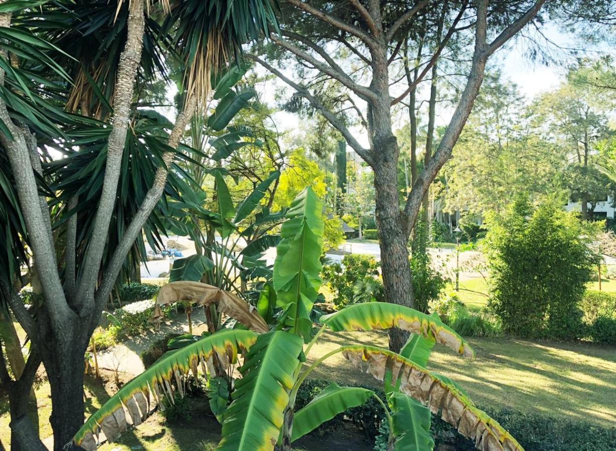 Apartment Beautiful, Bright And Spacious Duplex In Marbella Estepona
