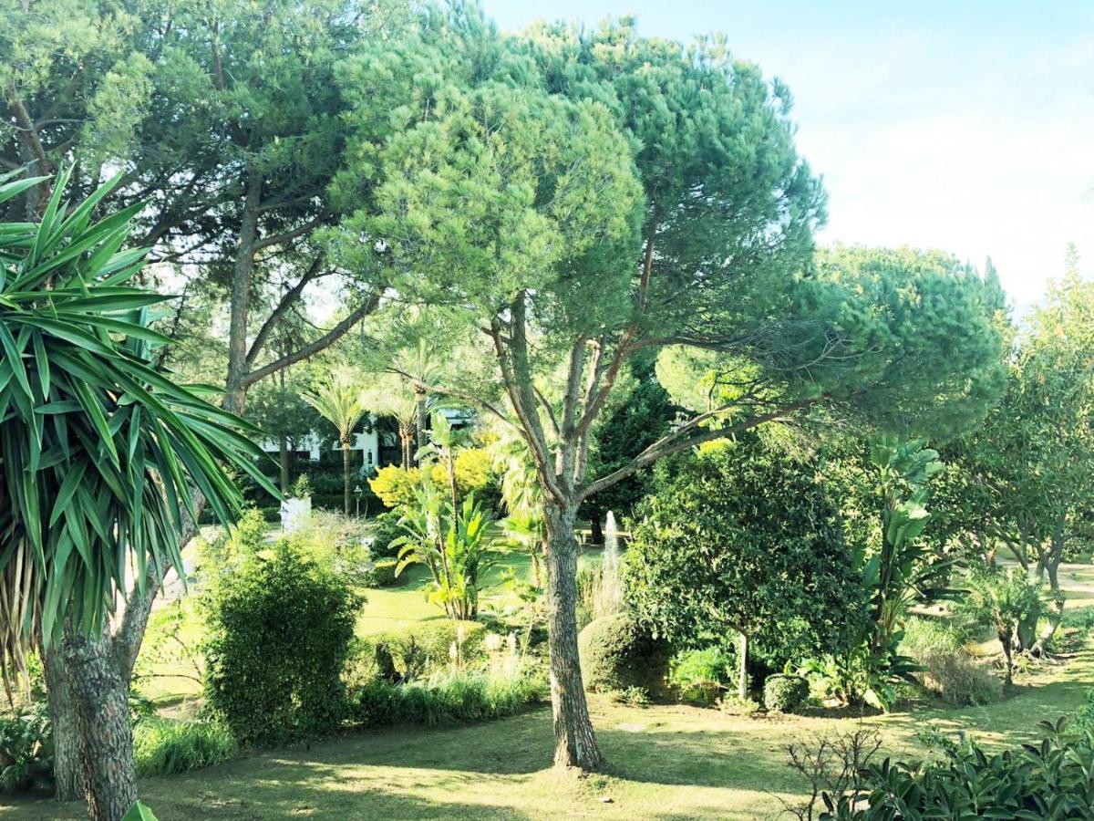 Apartment Beautiful, Bright And Spacious Duplex In Marbella Estepona