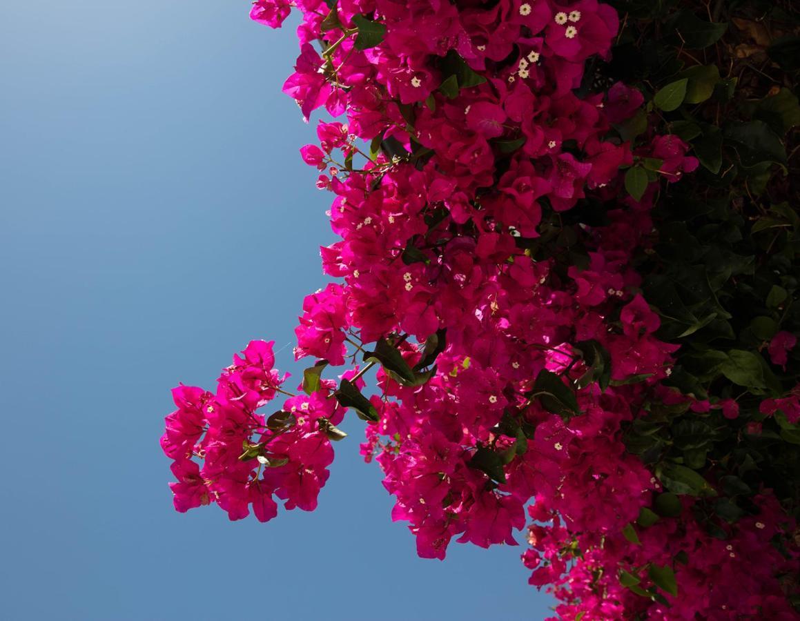 Villa Casa Sol Estepona