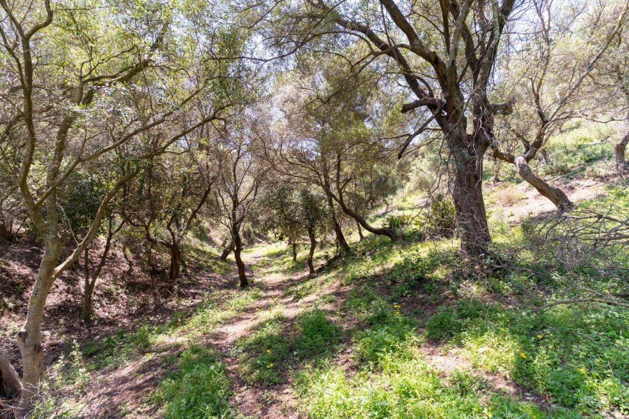 La Aldea De Sta Teresa, Casa Grande