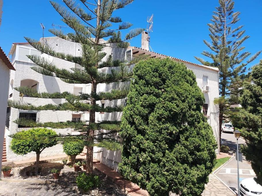 Apartamento A 150 Metros De La Playa Y Del Puerto Deportivo Estepona