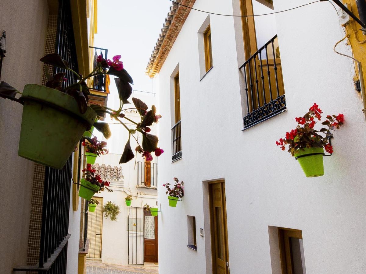 Calle Pintado 21 Bajo Apartment Estepona