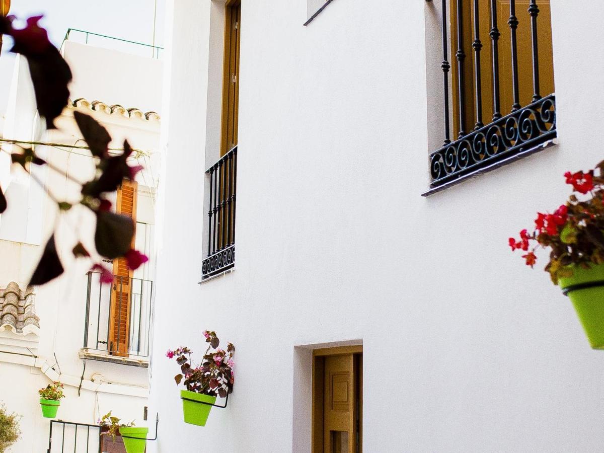 Calle Pintado 21 Bajo * Estepona