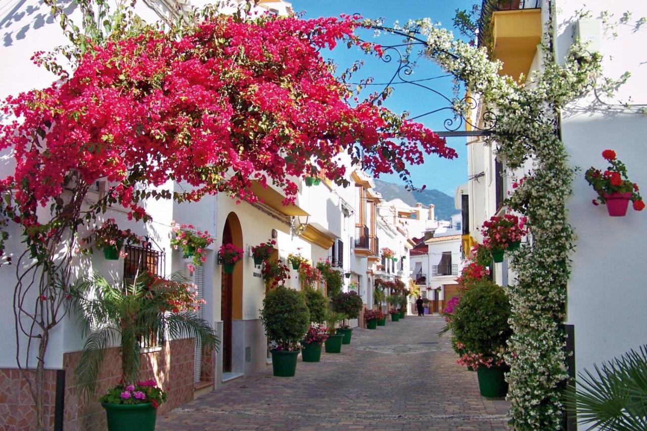 Pepe Vista Al Mar