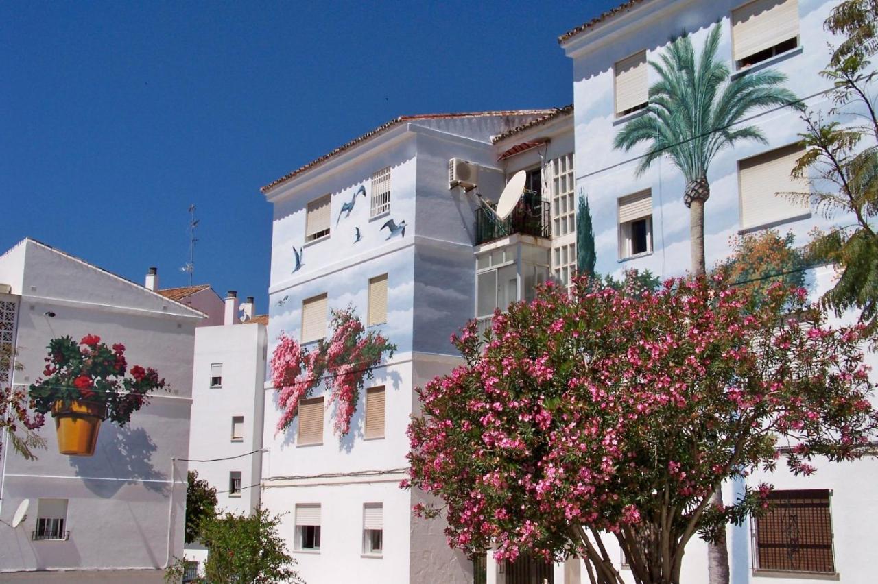 Pepe Vista Al Mar