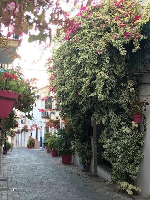 Casa Maria *