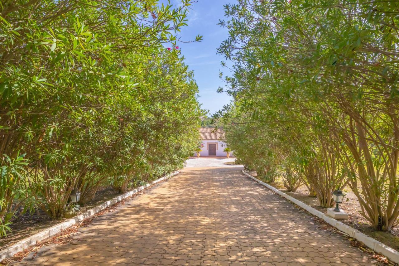 Villa Cortijo Padierna El - Happy