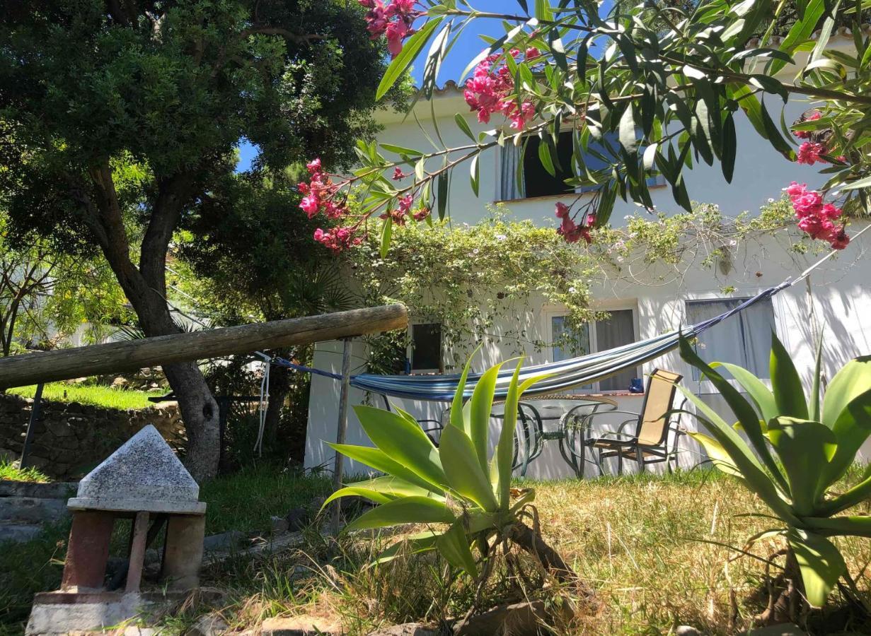 Casa Simba (adults Only) Guest house