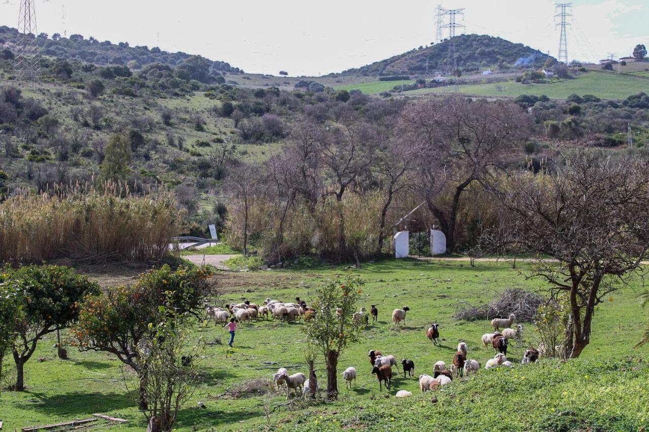 La Aldea De Santa Teresa ,casa Granada Holiday park *