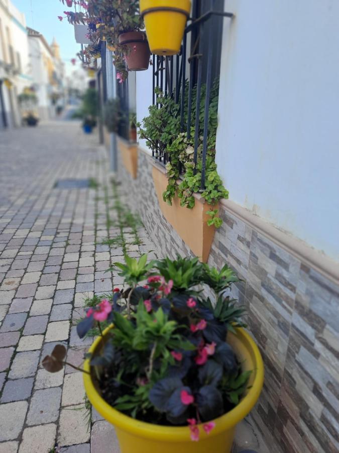 En Casco Historico *