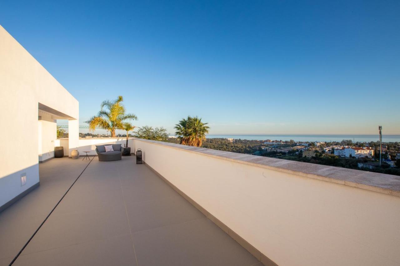 Modern Luxury In Flamingos
