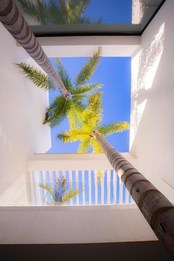 Modern Luxury In Flamingos