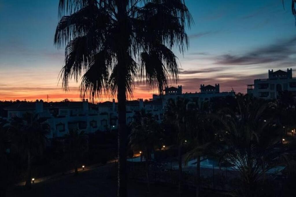 Blue Palm