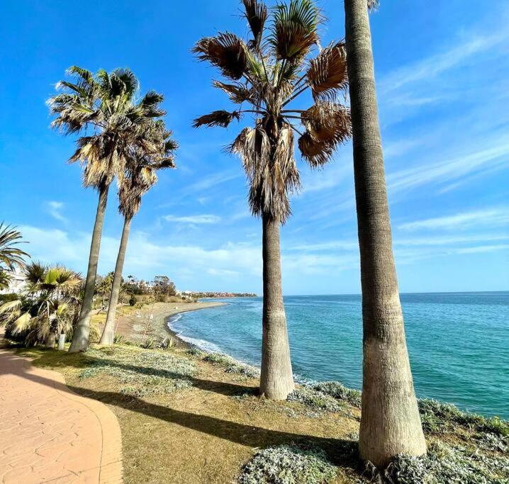 Apartment Blue Palm
