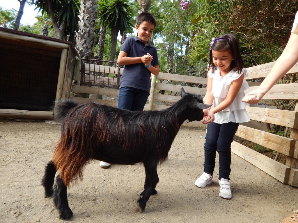 Selwo - Animal Park Tickets Included 3*