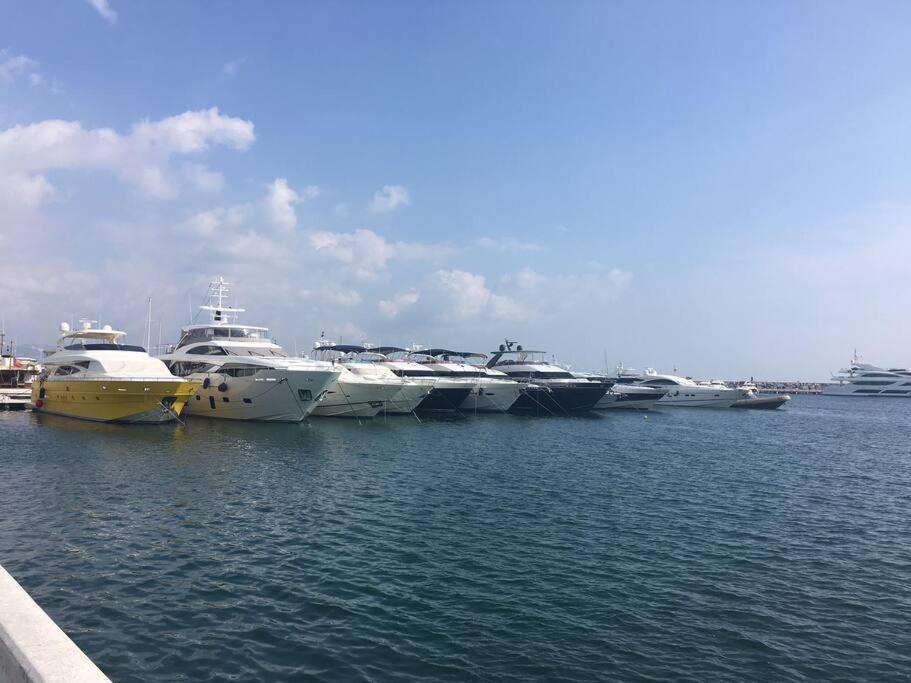 Luxueux/marbella/ Golf Flamingos *