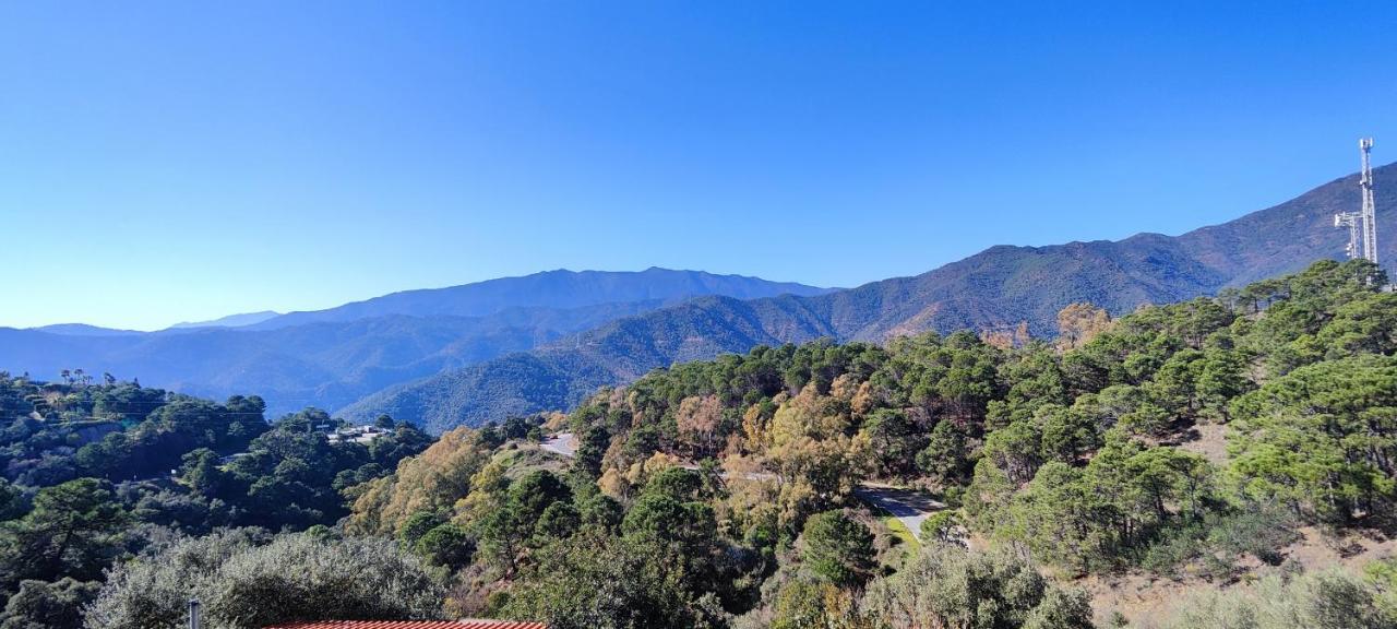 Gorgeous 3 Bedrooms In Natural Reserve Park! Pensión Estepona
