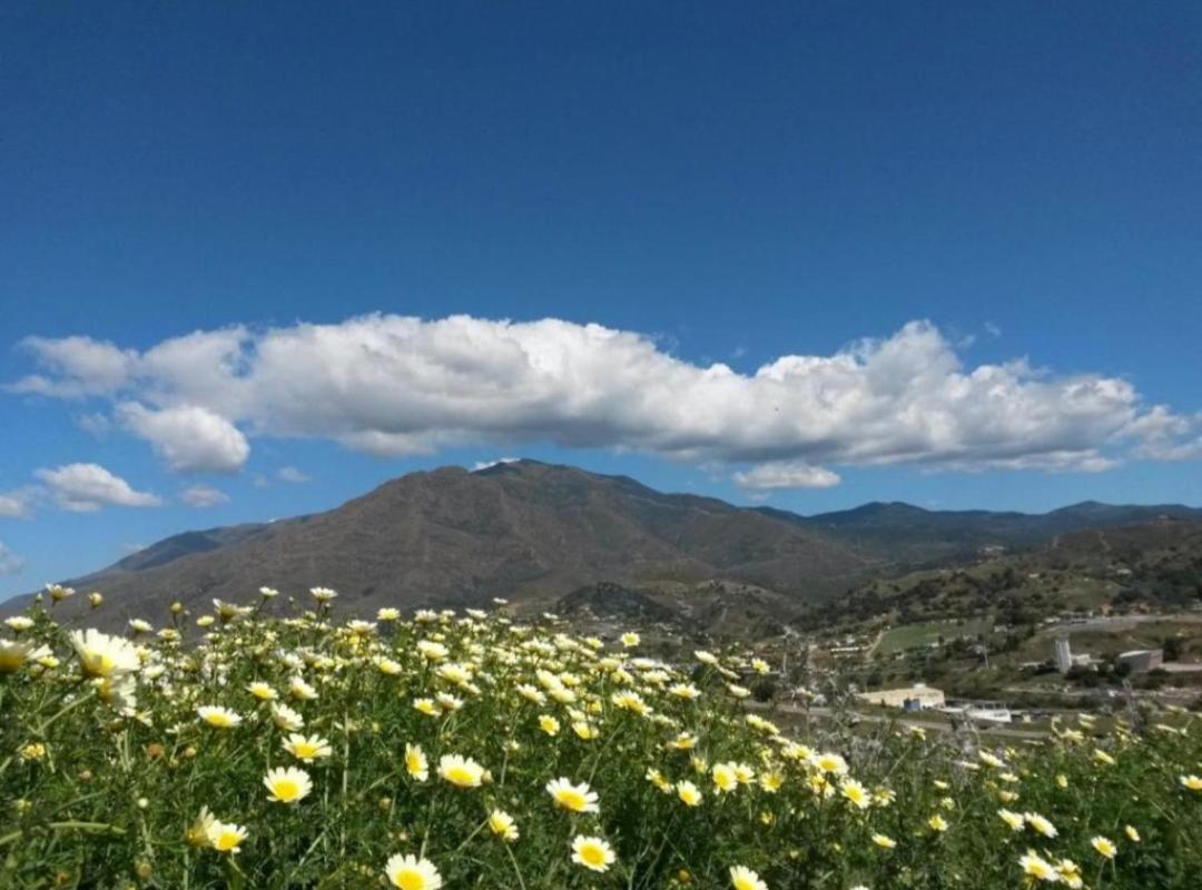 Vista Gaviota *