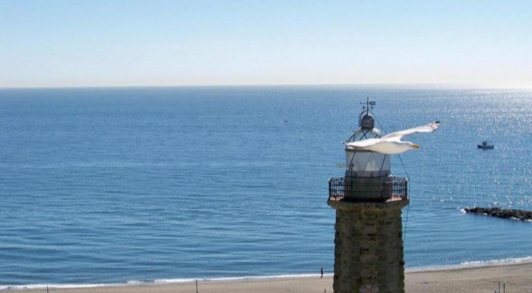 Vista Gaviota *