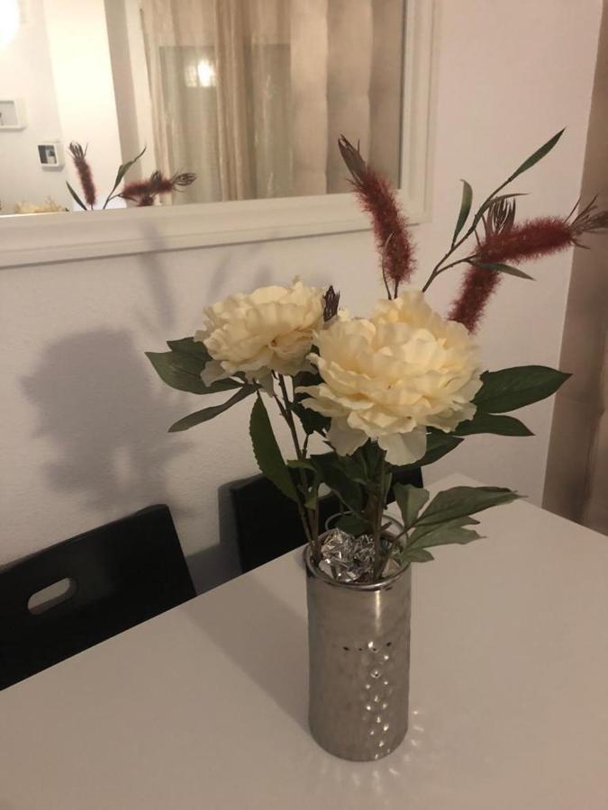 Teresa House Apartment Estepona