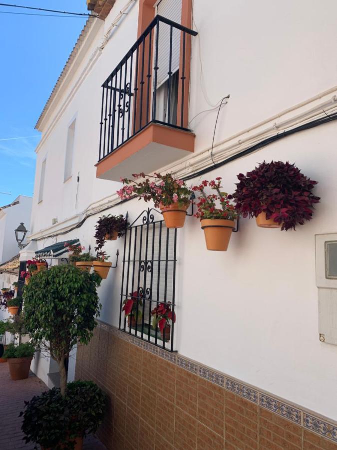 Apartment 2 Bedroom Beachfront In Estepona, Malaga. *