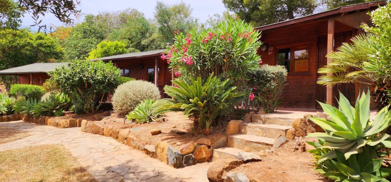 Complejo Rural Pedregales Appartement *