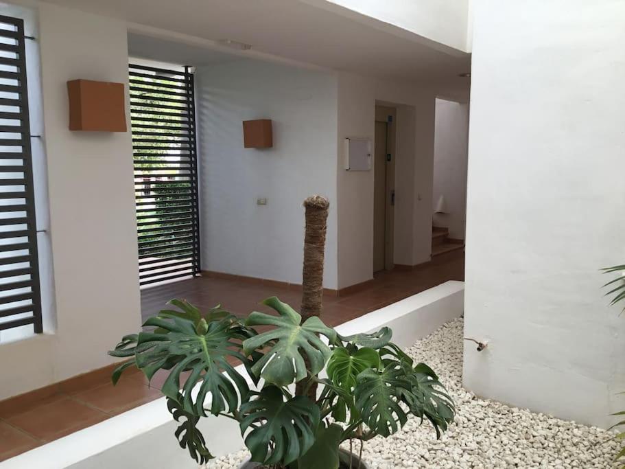 Alcazaba Blue Lagoon 3 Bedroom, Ground Floor Apartamento Estepona