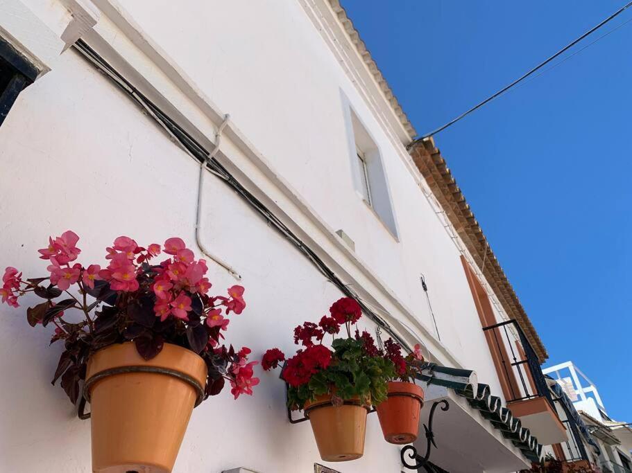 Stylish Beachside House 50 M From The Sea ! Casa de férias