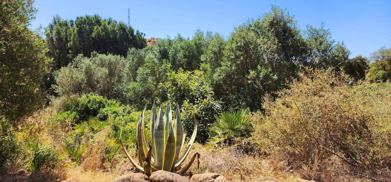 Appartement Complejo Rural Pedregales