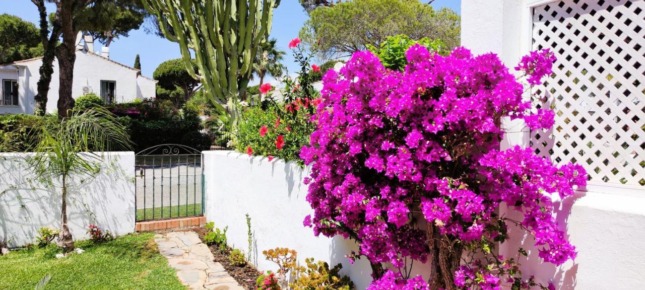 Con Jardin Y Piscina En Playa Appartement