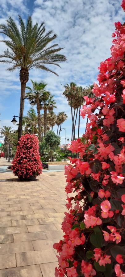 A 150 Metros De La Playa Y Del Puerto Deportivo Apartamento