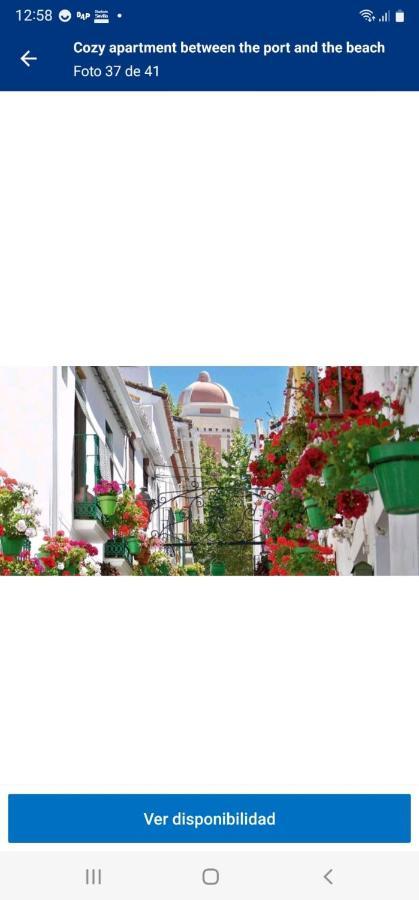 Esteponacies Apartment Estepona