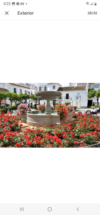 Apartamento Esteponacies