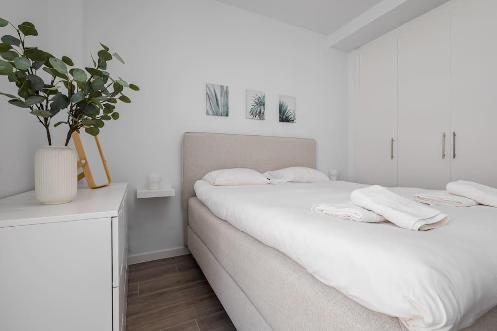 Stylish 3 Bedroom Le Mirage Close To Rdr317