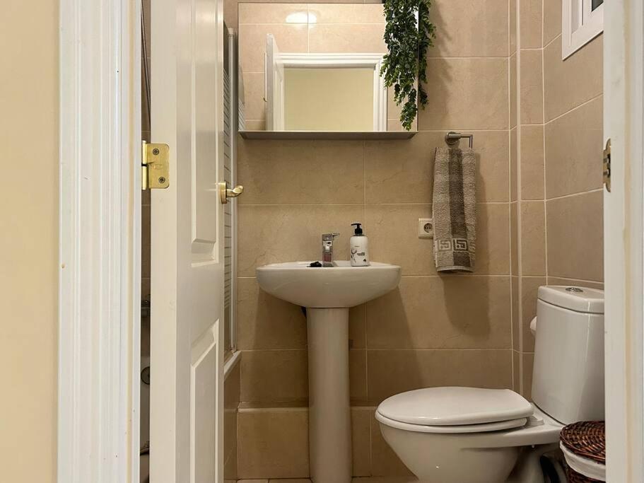Flat On The Paseo Maritamo! Apartment Estepona