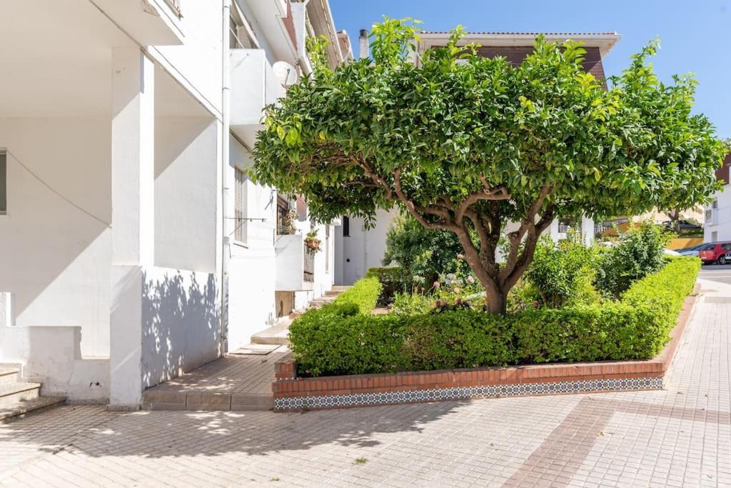 Ar6 Pablo Picasso 4 Bedroom Appartement Estepona